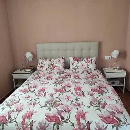 Duplex Precioso 6 Personas En Conil * Conil De La Frontera